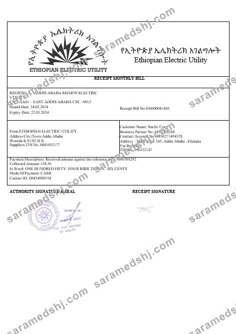 Ethiopian electric business utility bill in wordand PDF formats1